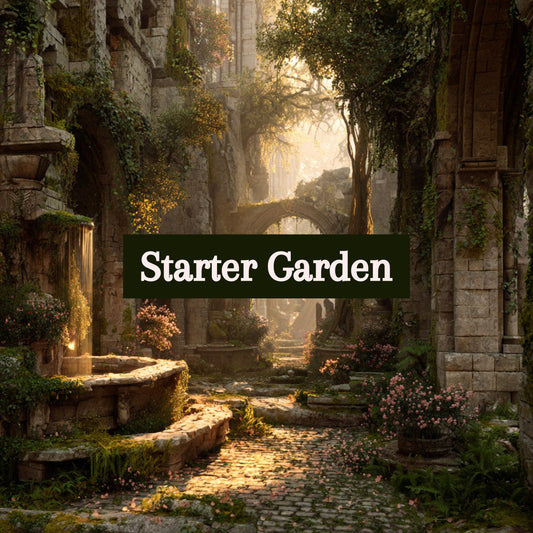 Starter Garden